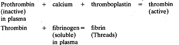 248_Clotting Mechanism.png